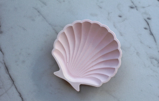 Pastel Pink Shell